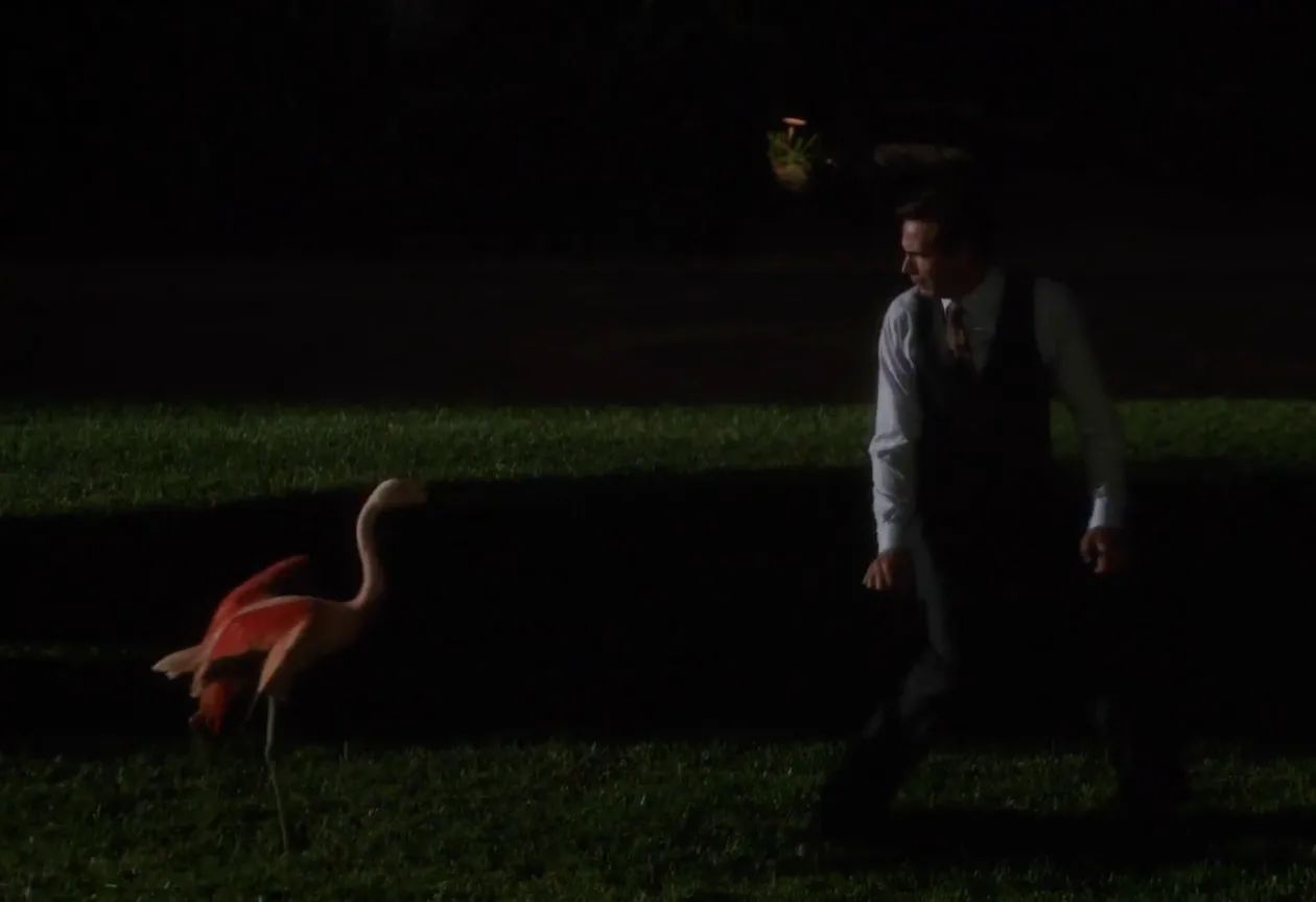 Jarvis Vs The Flamingo